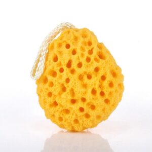 Shower Sponge